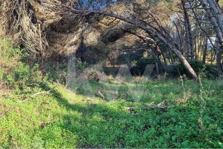 Terreno para Venda em Agualva e Mira-Sintra Foto 2