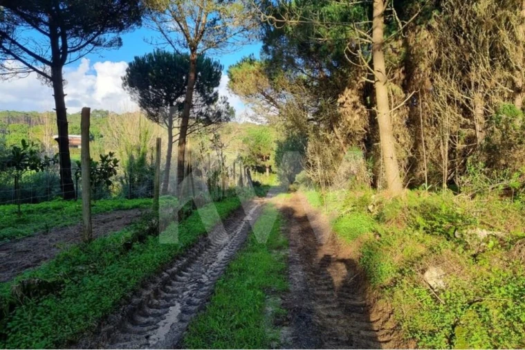 Terreno para Venda em Agualva e Mira-Sintra Foto 13
