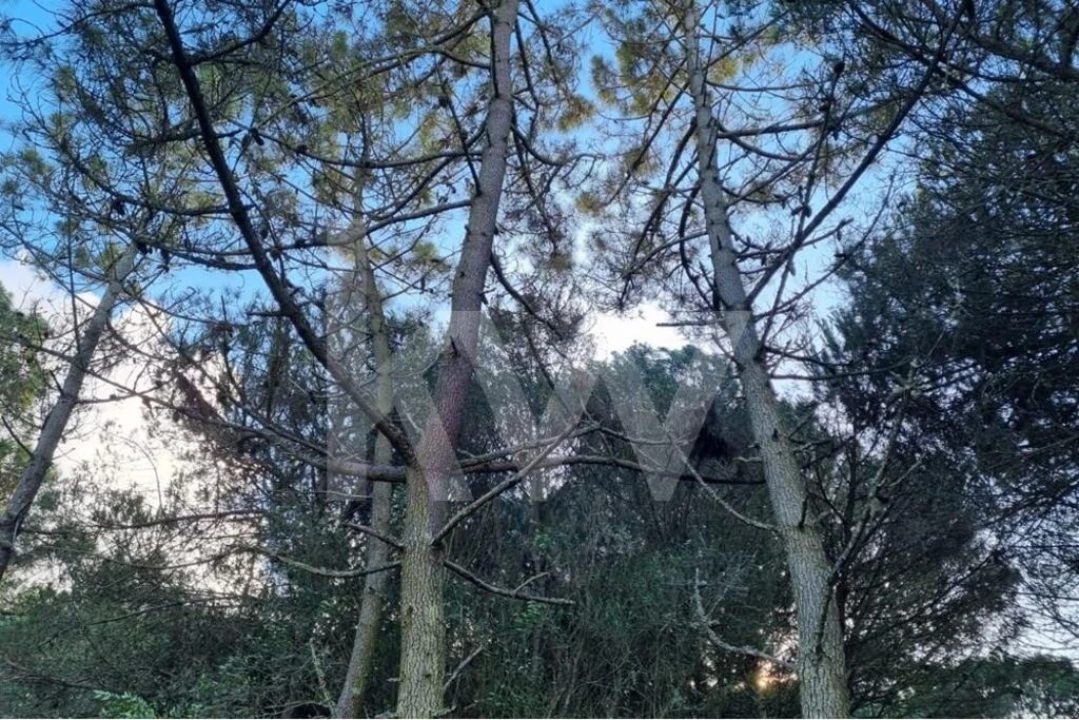 Terreno para Venda em Agualva e Mira-Sintra Foto 5