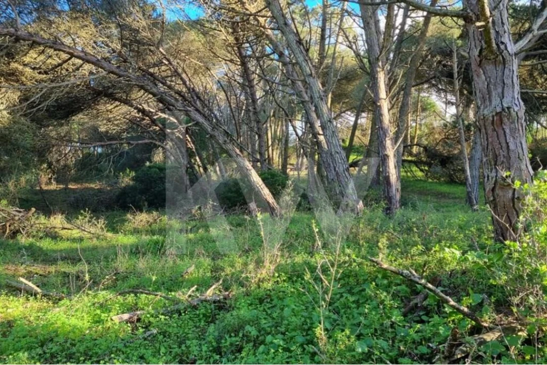 Terreno para Venda em Agualva e Mira-Sintra Foto 11