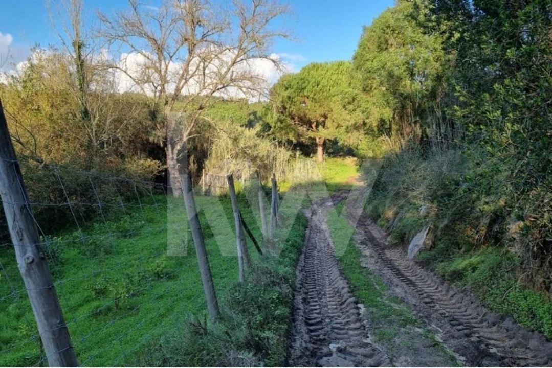 Terreno para Venda em Agualva e Mira-Sintra Foto 9