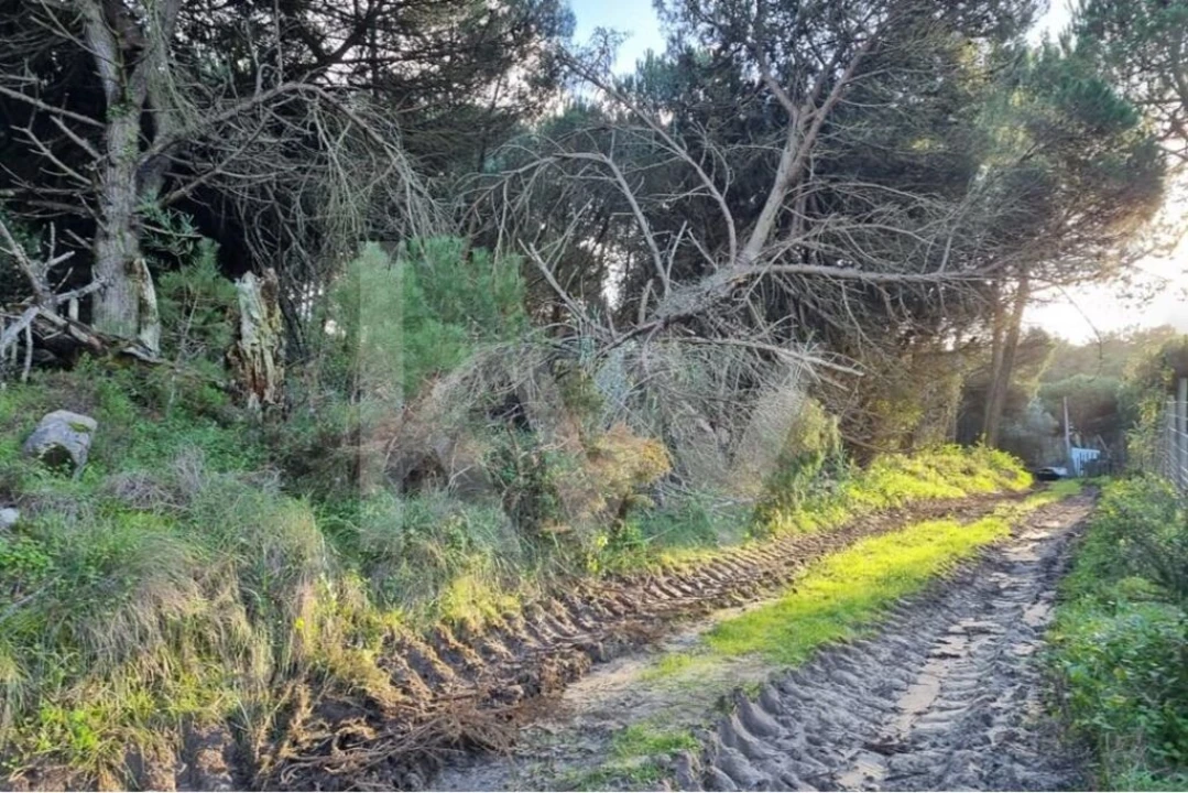 Terreno para Venda em Agualva e Mira-Sintra Foto 10