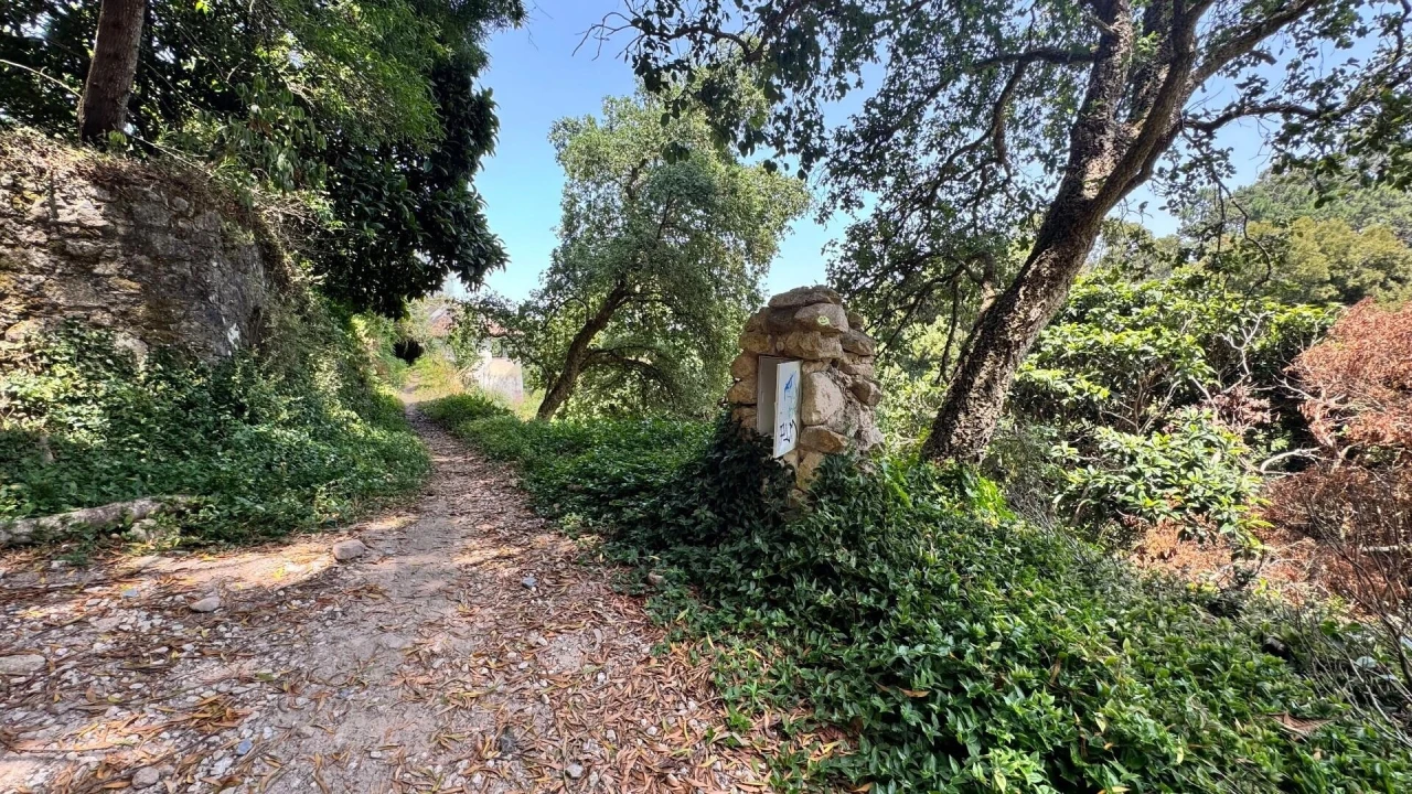 Moradia T5 para Venda em Colares Foto 9