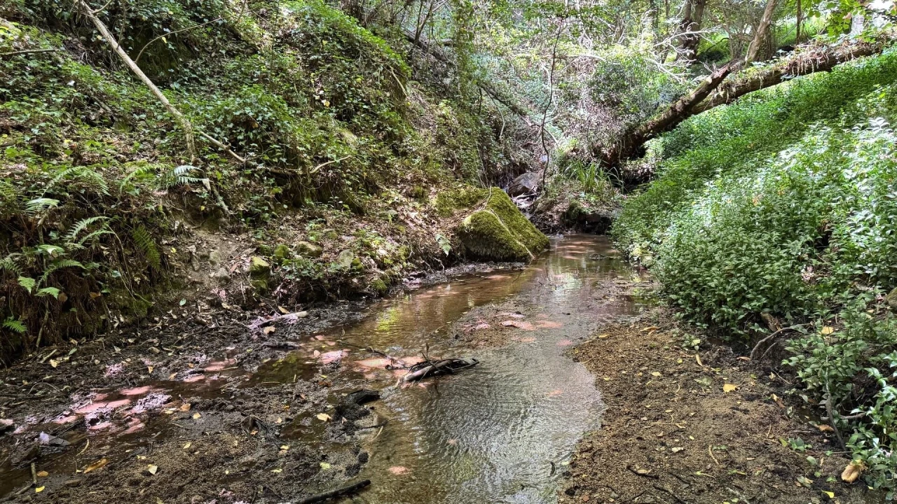 Moradia T5 para Venda em Colares Foto 18