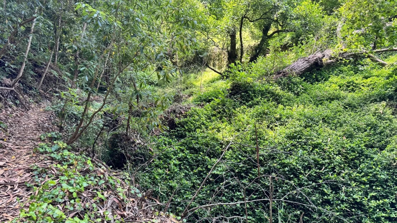 Moradia T5 para Venda em Colares Foto 26