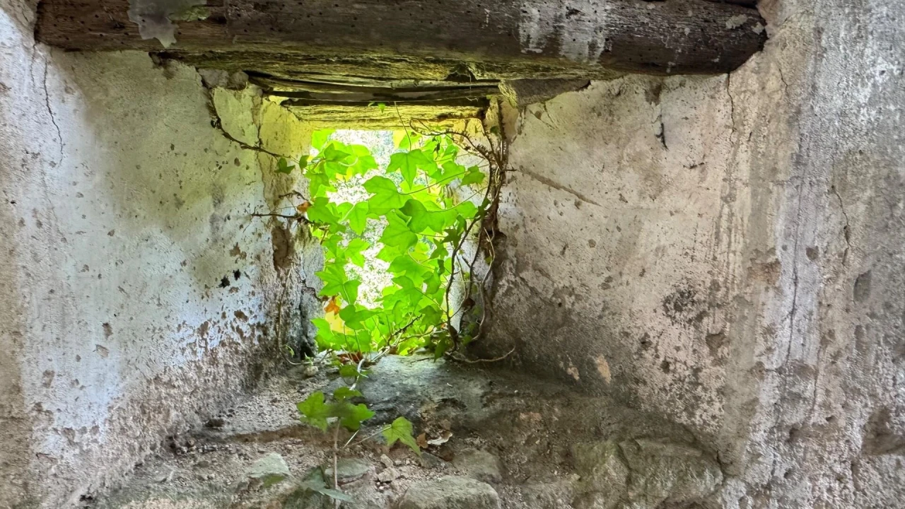 Moradia T5 para Venda em Colares Foto 8