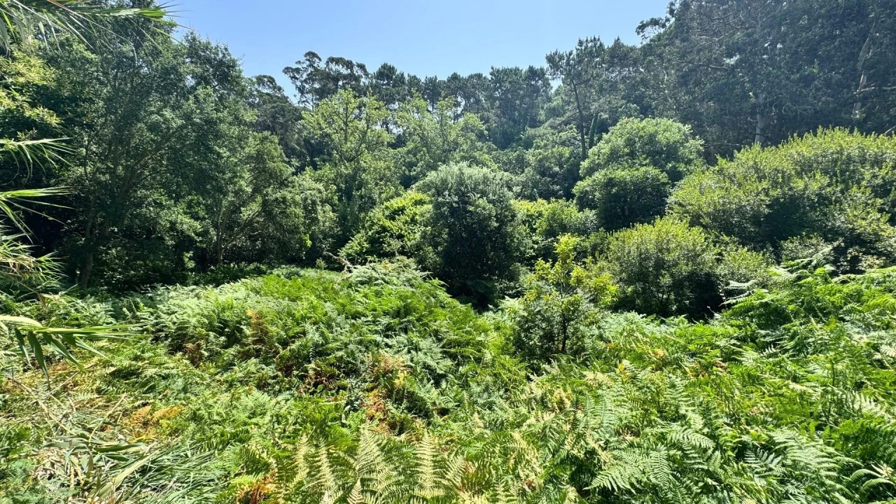 Moradia T5 para Venda em Colares Foto 14