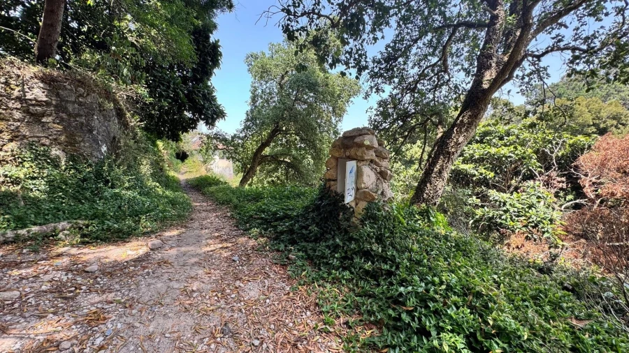 Moradia T5 para Venda em Colares Foto 9