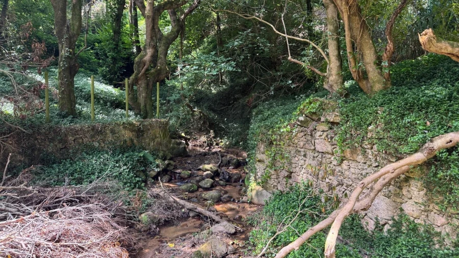 Moradia T5 para Venda em Colares Foto 41