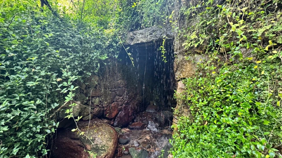 Moradia T5 para Venda em Colares Foto 40