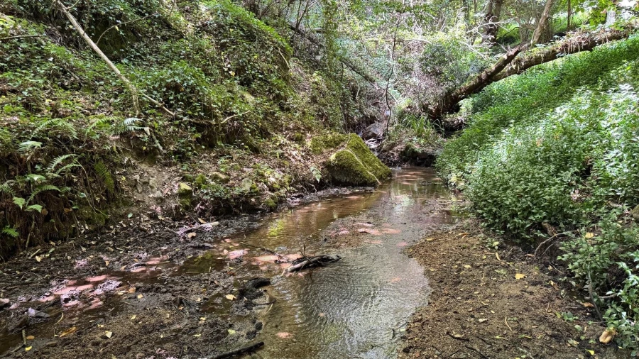 Moradia T5 para Venda em Colares Foto 18