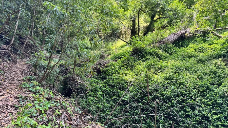 Moradia T5 para Venda em Colares Foto 26