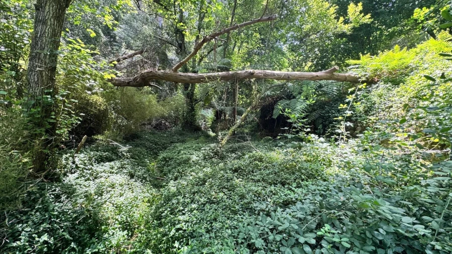 Moradia T5 para Venda em Colares Foto 22