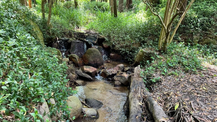 Moradia T5 para Venda em Colares Foto 35