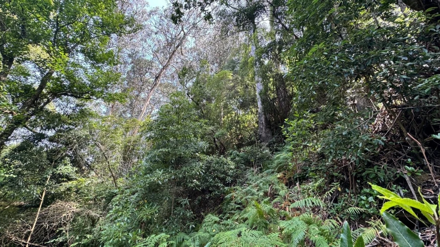 Moradia T5 para Venda em Colares Foto 27