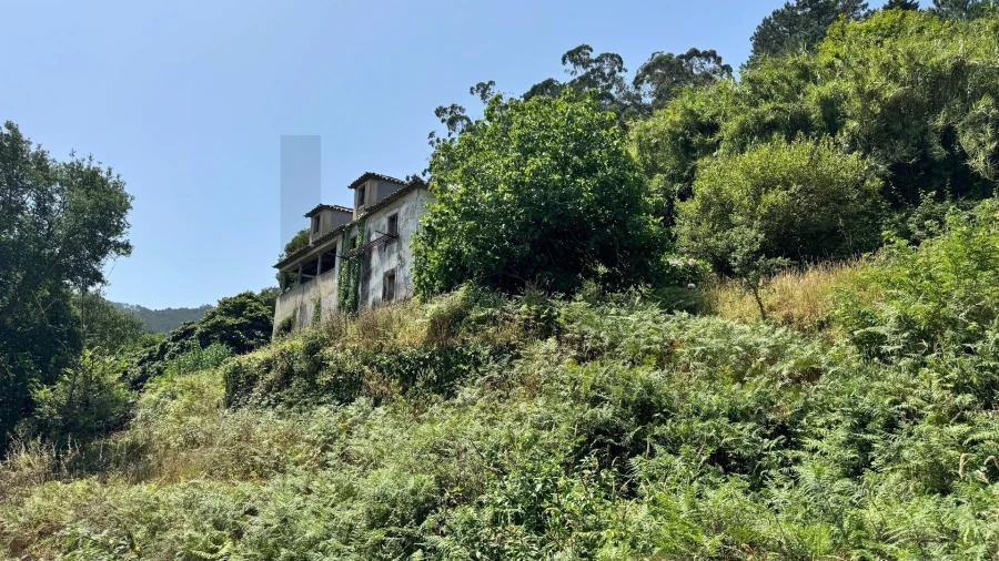 Moradia T5 para Venda em Colares Foto 10