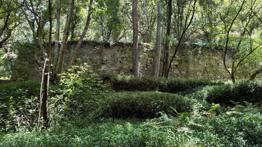 Moradia T5 para Venda em Colares Foto 32