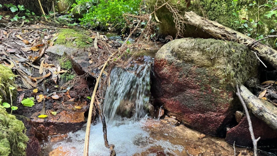 Moradia T5 para Venda em Colares Foto 25