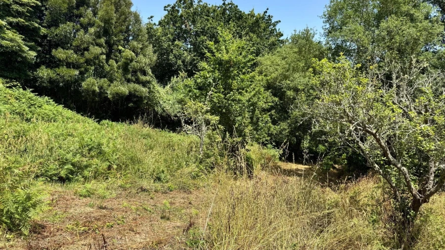 Moradia T5 para Venda em Colares Foto 12