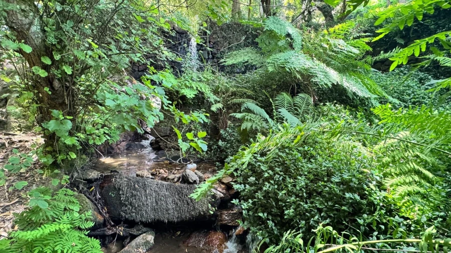 Moradia T5 para Venda em Colares Foto 30