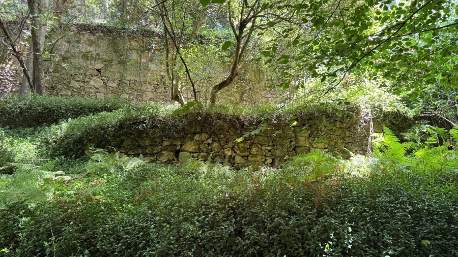 Moradia T5 para Venda em Colares Foto 33