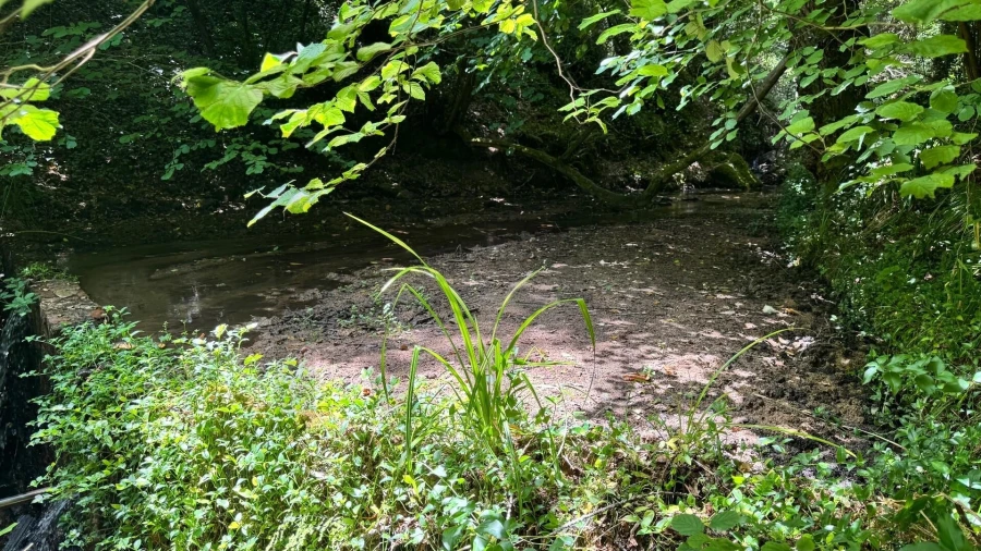 Moradia T5 para Venda em Colares Foto 16