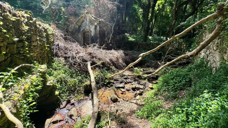 Moradia T5 para Venda em Colares Foto 42