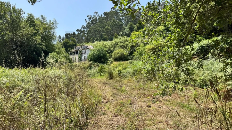 Moradia T5 para Venda em Colares Foto 11