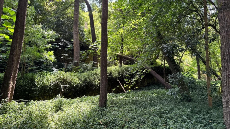 Moradia T5 para Venda em Colares Foto 34