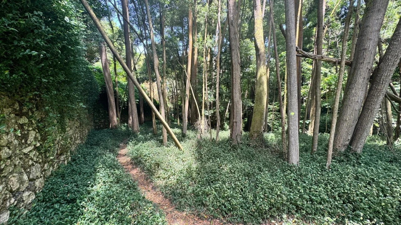 Moradia T5 para Venda em Colares Foto 39