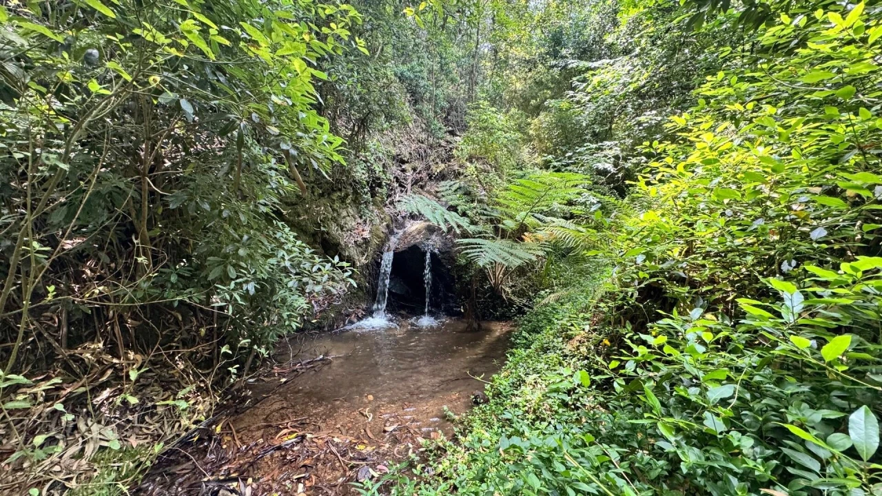 Moradia T5 para Venda em Colares Foto 20