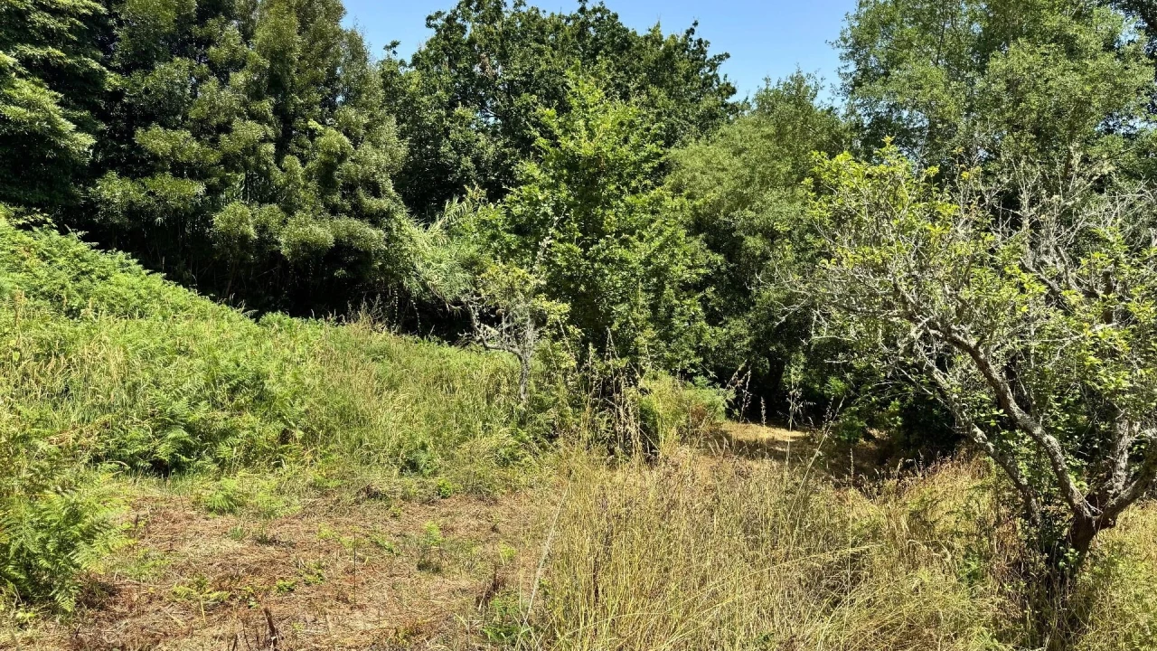 Moradia T5 para Venda em Colares Foto 12