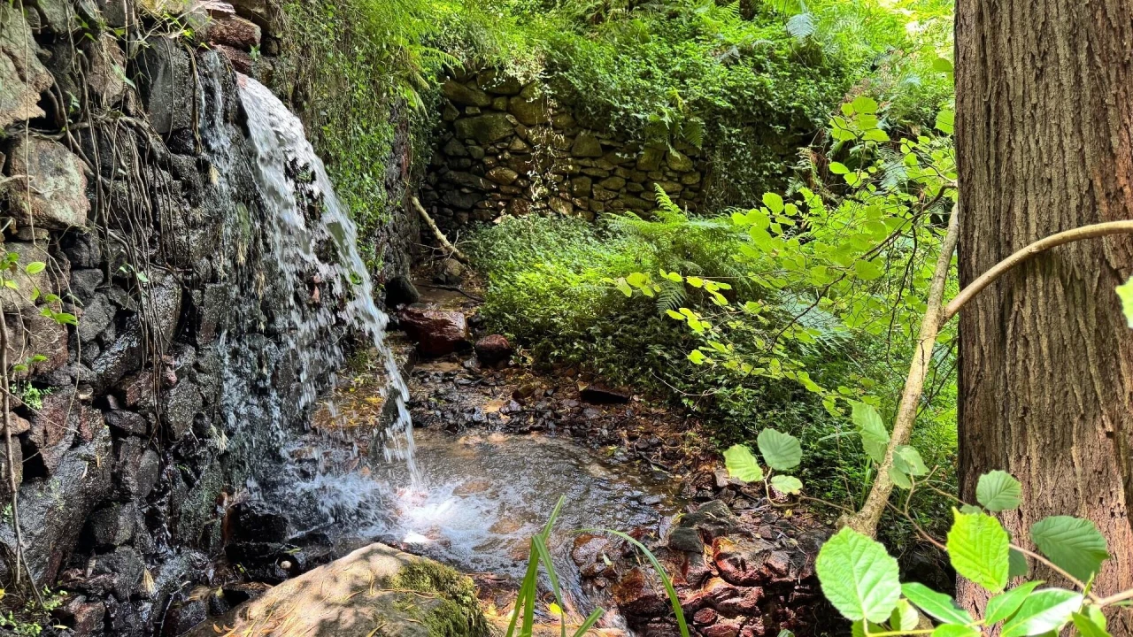 Moradia T5 para Venda em Colares Foto 31