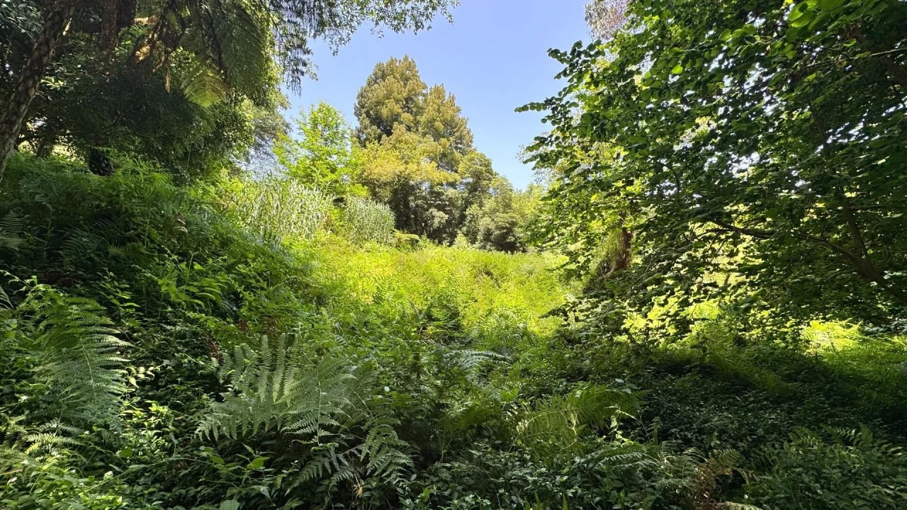 Moradia T5 para Venda em Colares Foto 21