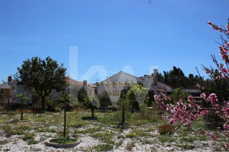 Quinta T5 para Venda em Vila Nova de Milfontes Foto 2