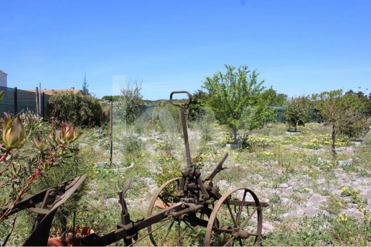 Quinta T5 para Venda em Vila Nova de Milfontes Foto 30