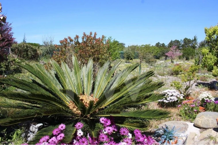 Quinta T5 para Venda em Vila Nova de Milfontes Foto 29