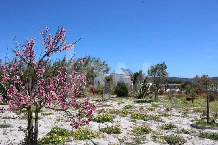 Quinta T5 para Venda em Vila Nova de Milfontes Foto 3