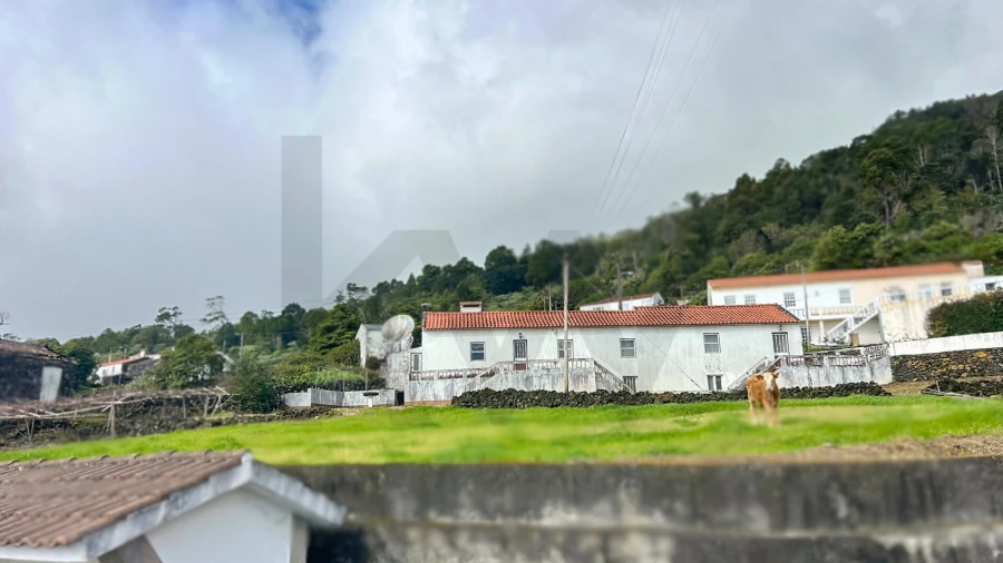 Moradia T2 para Venda em Ribeiras Foto 18