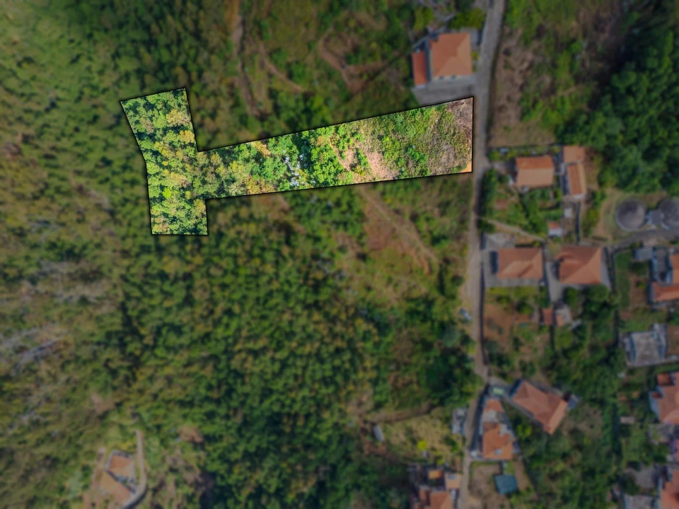 Terreno para Venda em Monte Foto 5