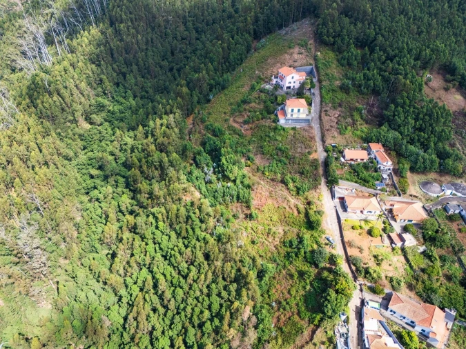 Terreno para Venda em Monte Foto 2