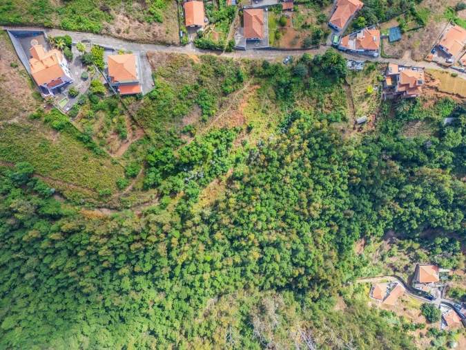 Terreno para Venda em Monte Foto 8