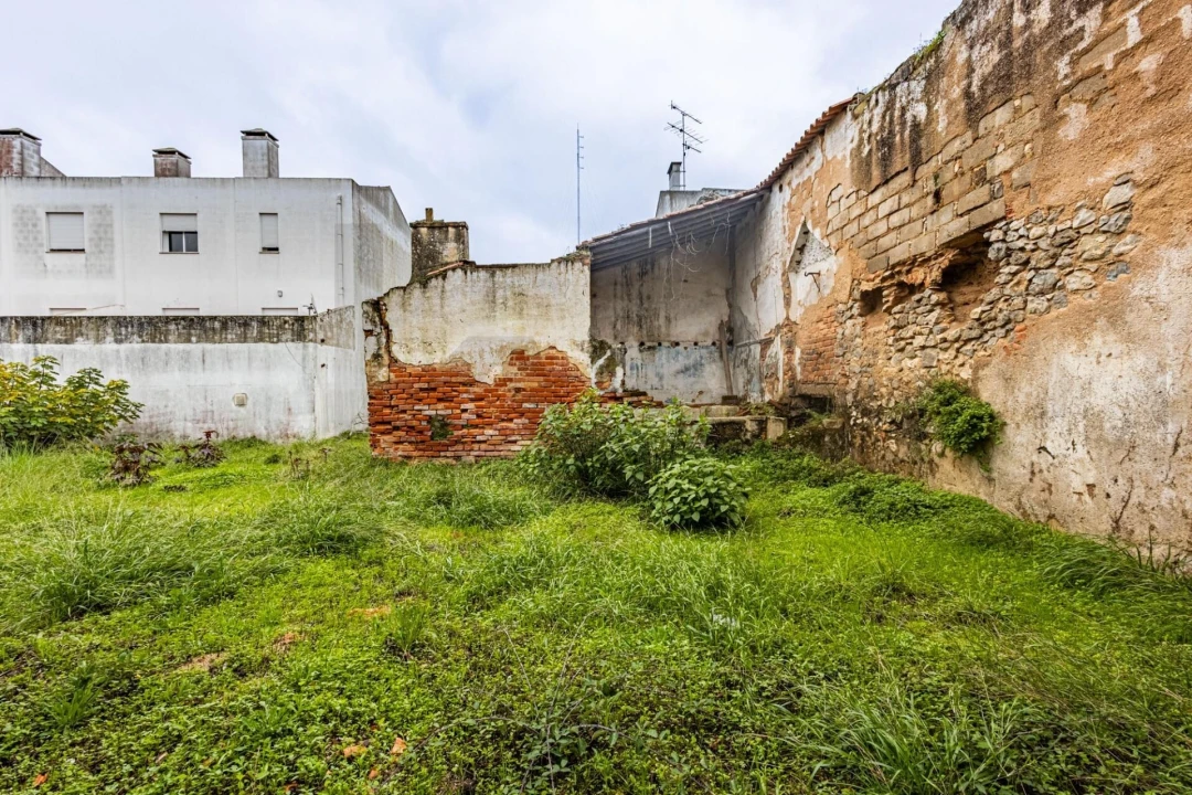 Terreno para Venda em Cartaxo e Vale da Pinta Foto 15