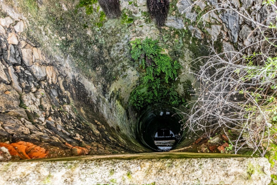 Terreno para Venda em Cartaxo e Vale da Pinta Foto 17