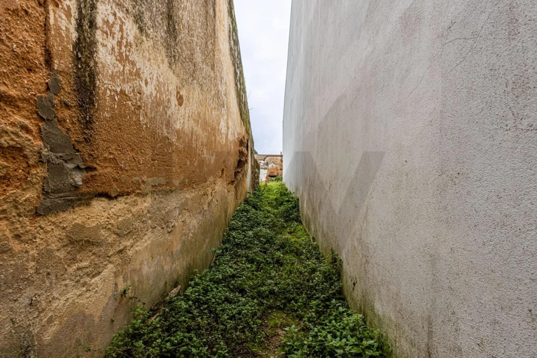Terreno para Venda em Cartaxo e Vale da Pinta Foto 23
