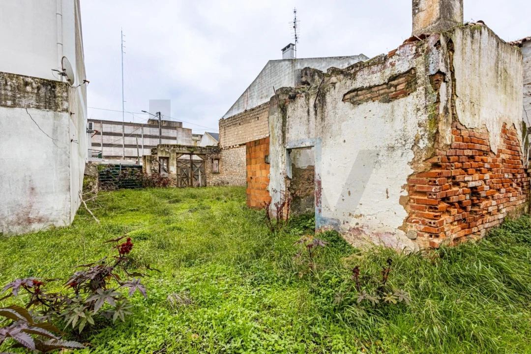 Terreno para Venda em Cartaxo e Vale da Pinta Foto 12