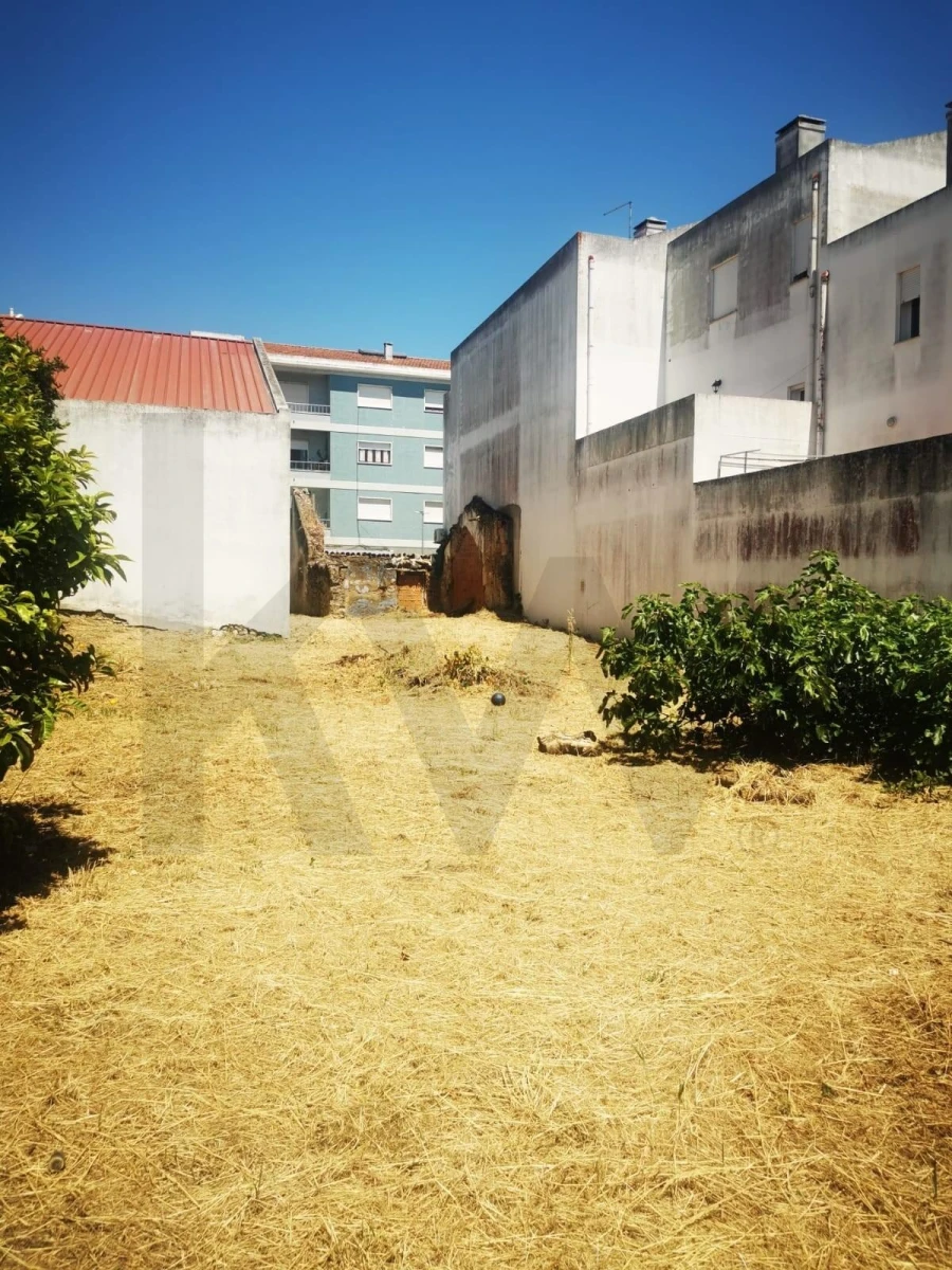 Terreno para Venda em Cartaxo e Vale da Pinta Foto 11