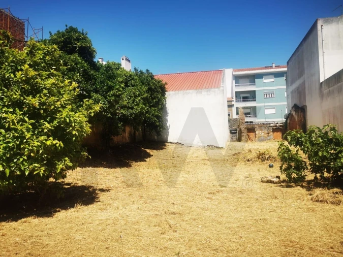 Terreno para Venda em Cartaxo e Vale da Pinta Foto 1