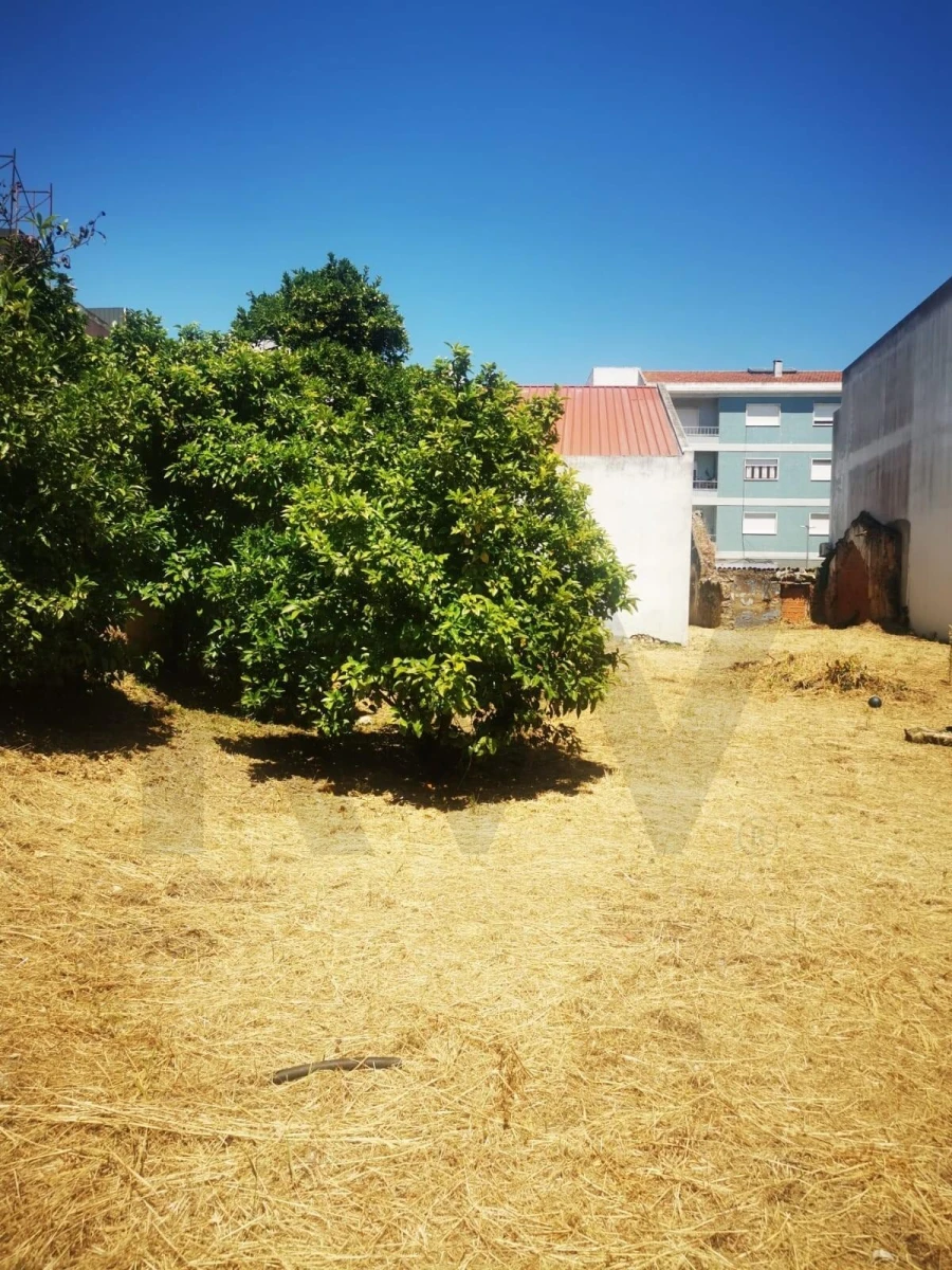 Terreno para Venda em Cartaxo e Vale da Pinta Foto 13