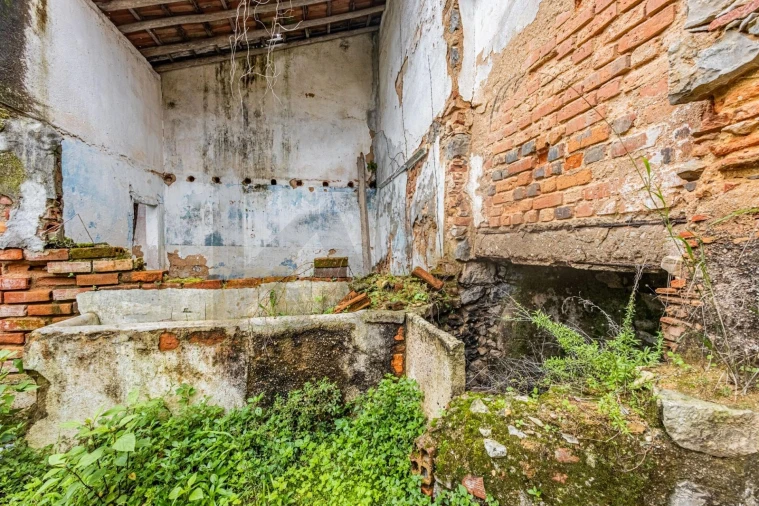 Terreno para Venda em Cartaxo e Vale da Pinta Foto 16